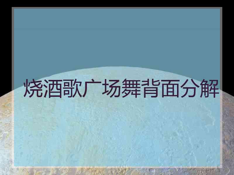 烧酒歌广场舞背面分解