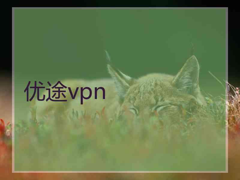 优途vpn