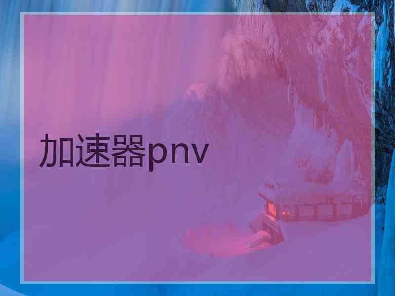 加速器pnv