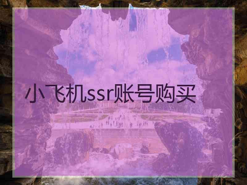 小飞机ssr账号购买