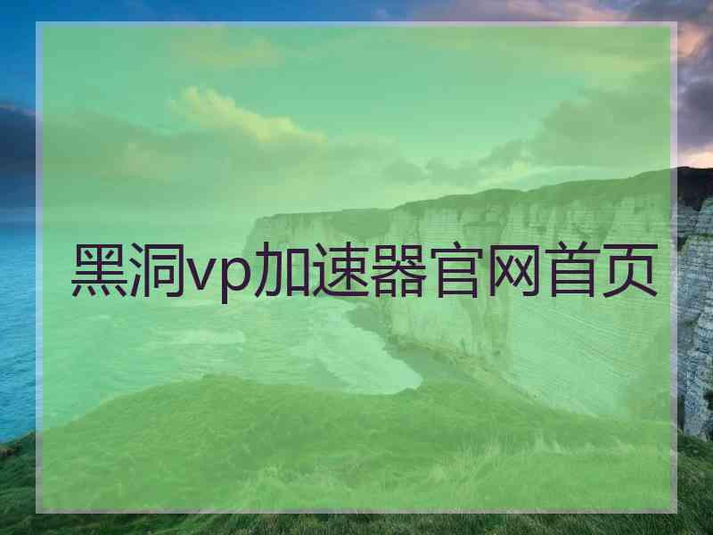 黑洞vp加速器官网首页