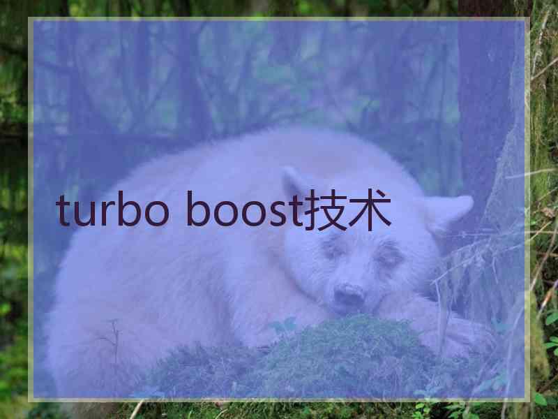 turbo boost技术