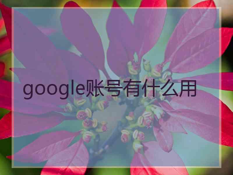 google账号有什么用