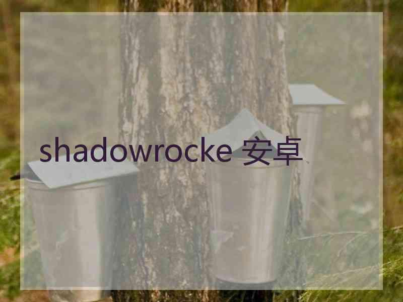 shadowrocke 安卓