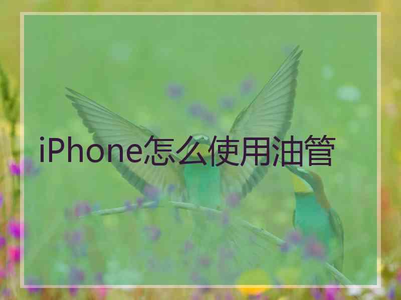 iPhone怎么使用油管