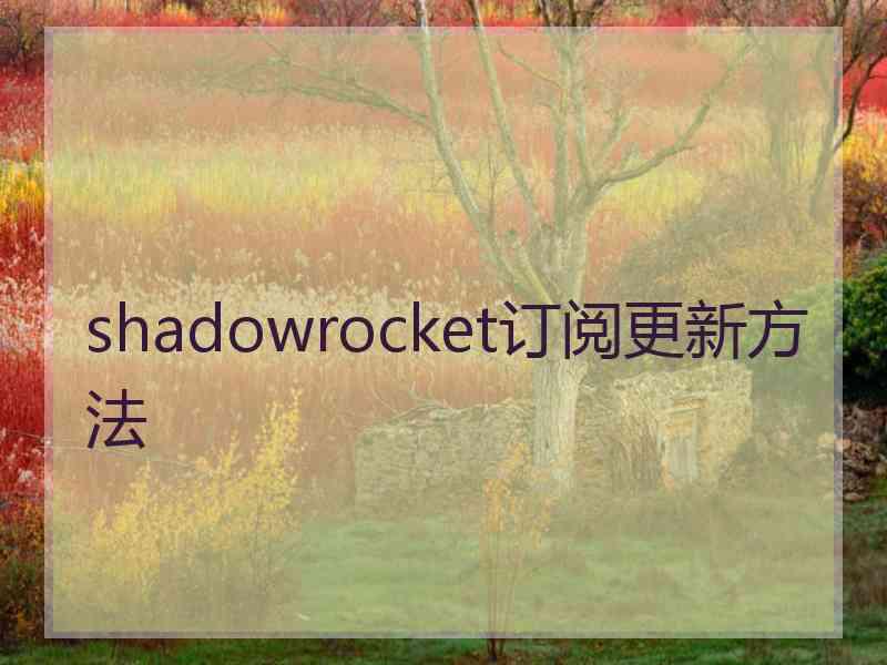 shadowrocket订阅更新方法