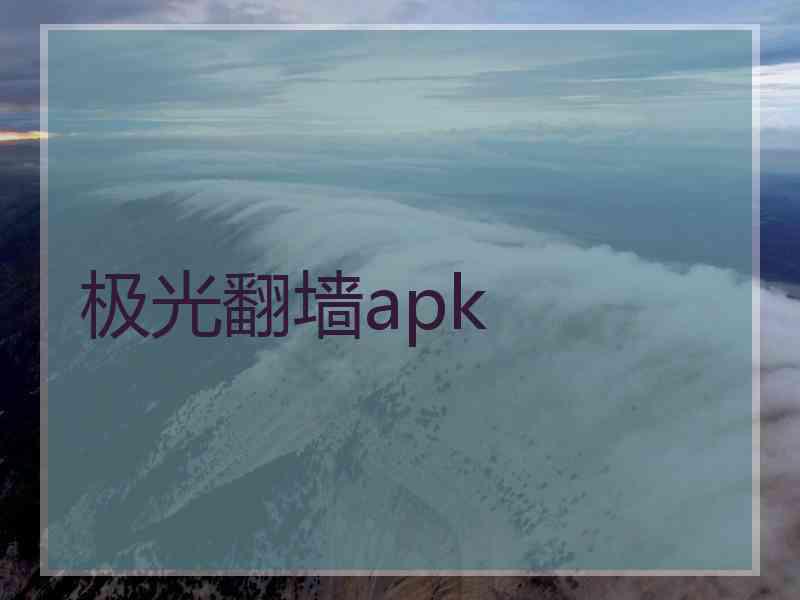 极光翻墙apk