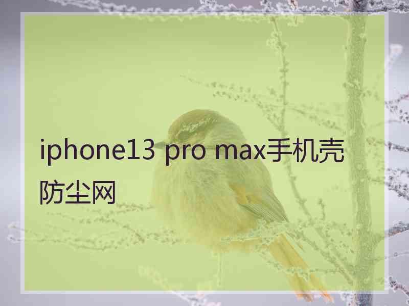 iphone13 pro max手机壳防尘网