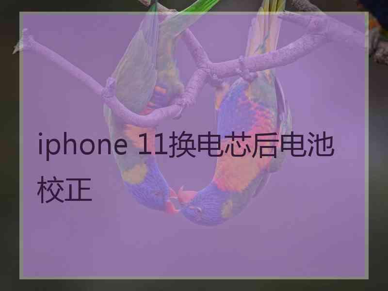 iphone 11换电芯后电池校正