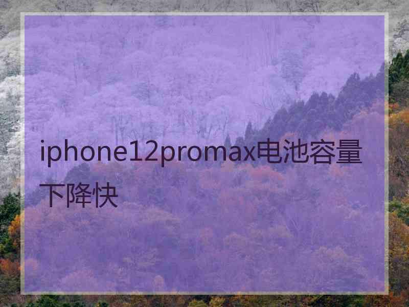 iphone12promax电池容量下降快