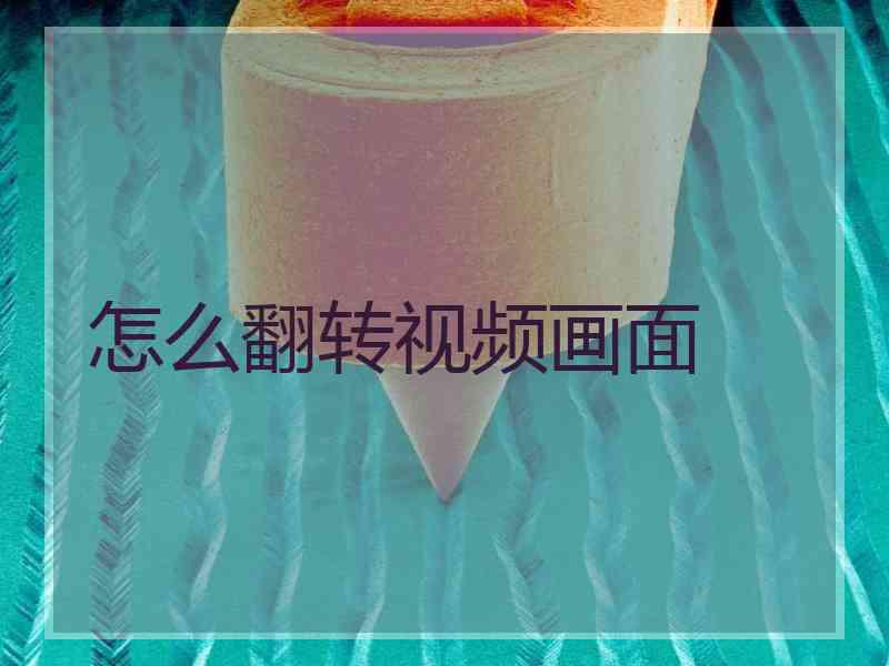 怎么翻转视频画面