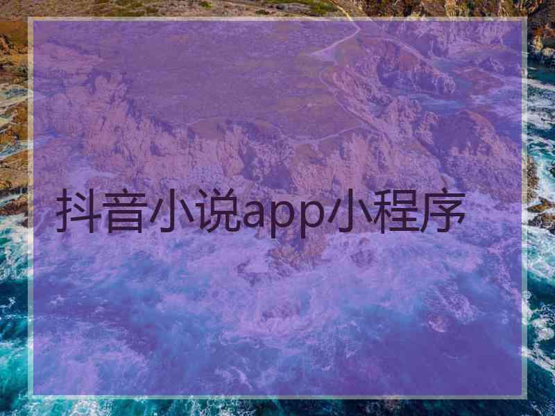 抖音小说app小程序