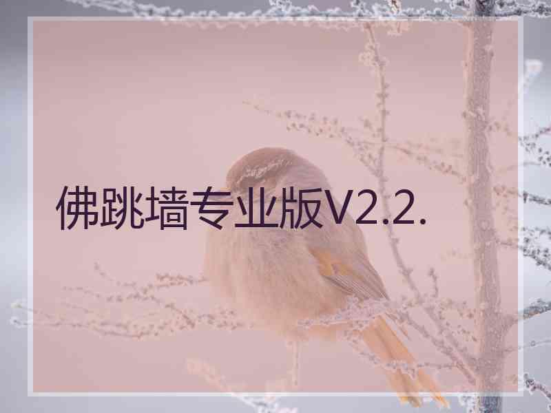 佛跳墙专业版V2.2.