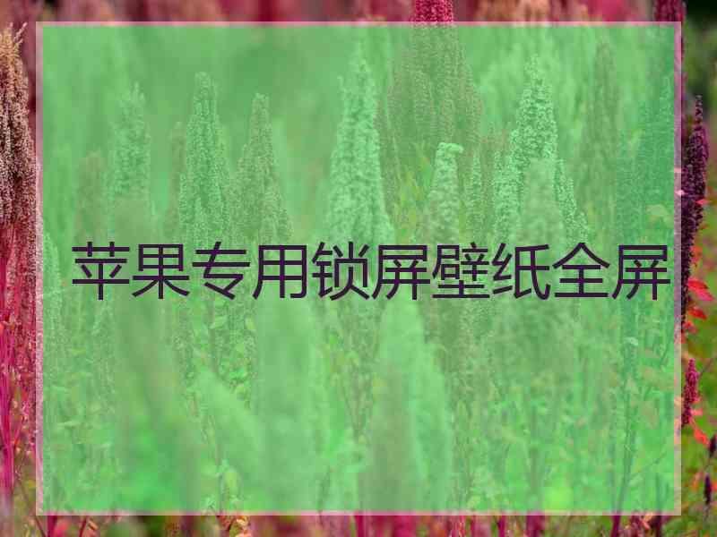 苹果专用锁屏壁纸全屏