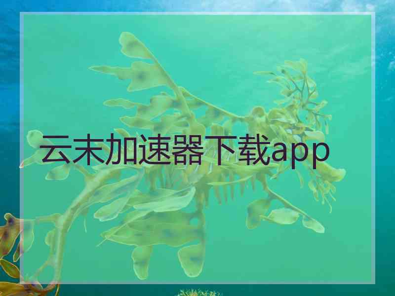 云末加速器下载app