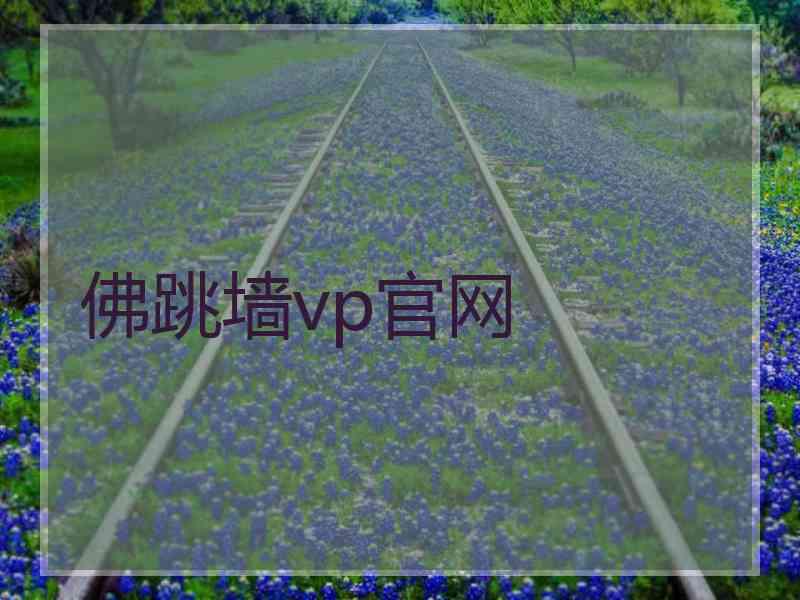 佛跳墙vp官网