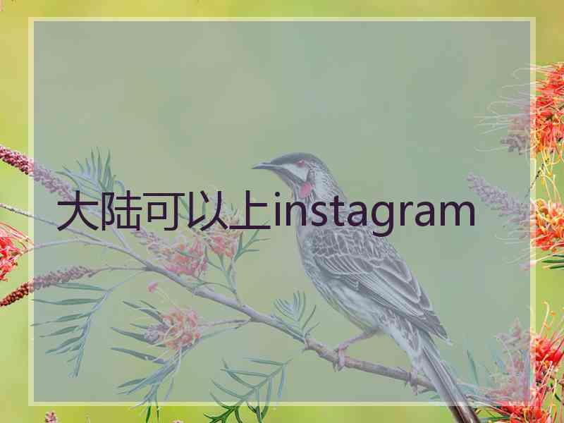 大陆可以上instagram