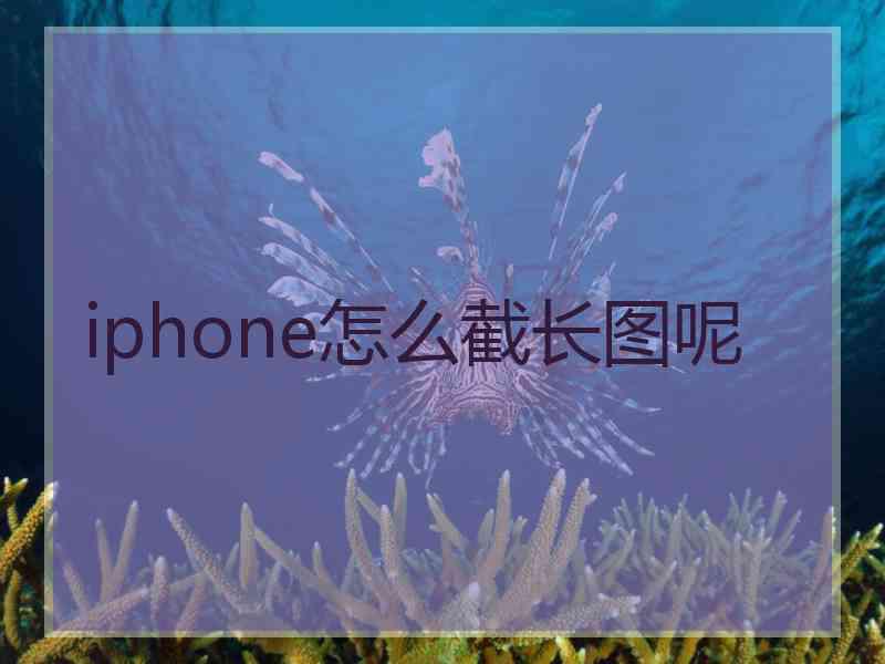 iphone怎么截长图呢