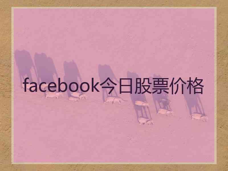 facebook今日股票价格