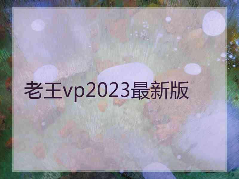 老王vp2023最新版