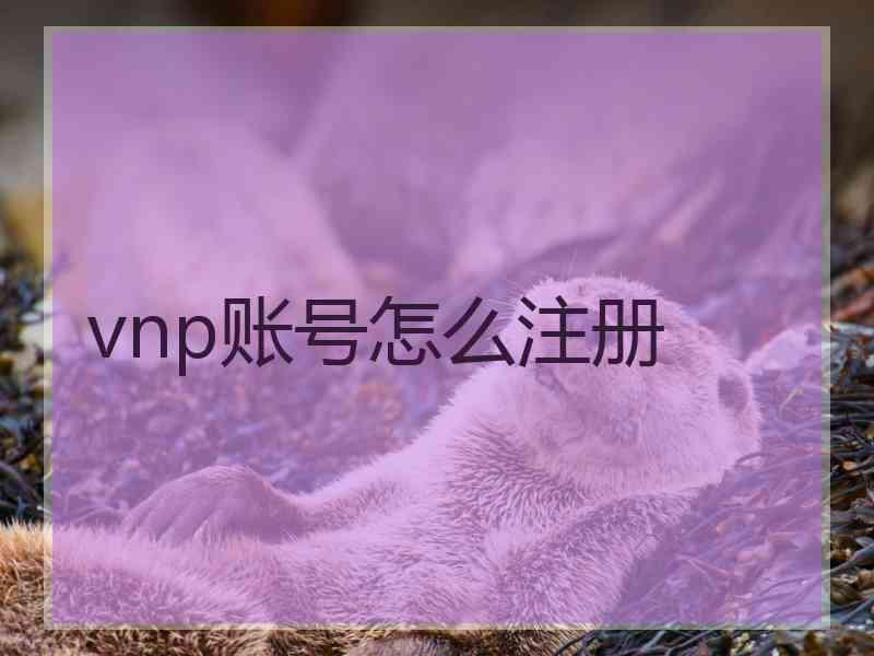 vnp账号怎么注册