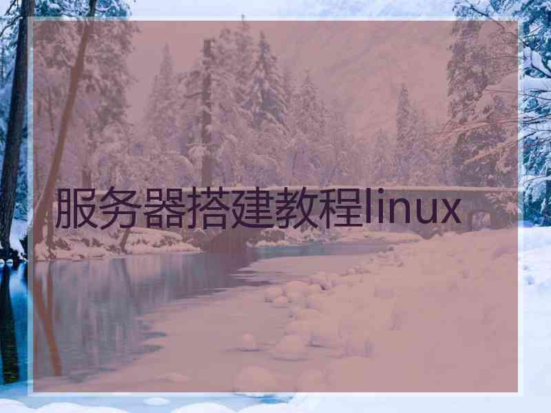 服务器搭建教程linux