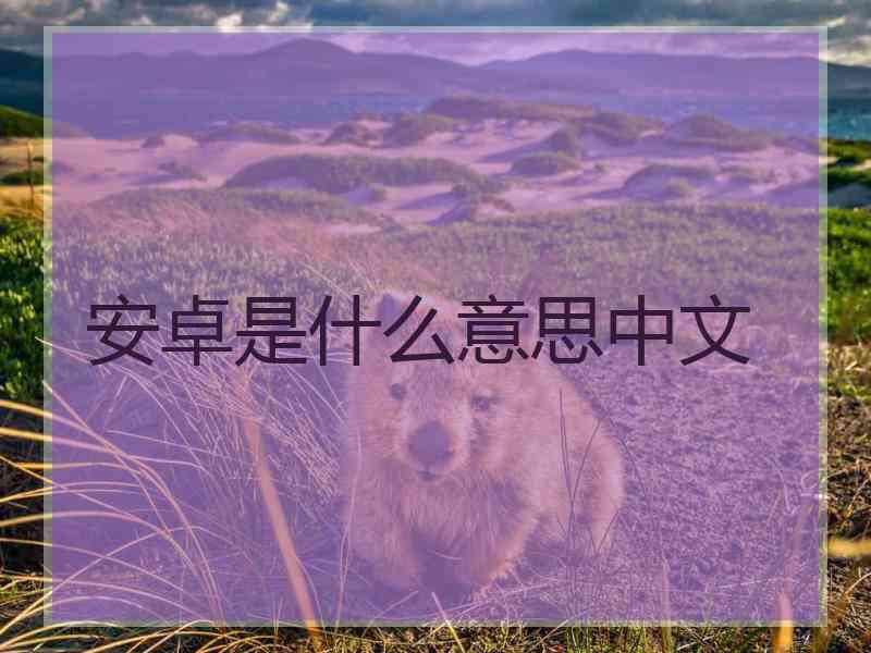 安卓是什么意思中文