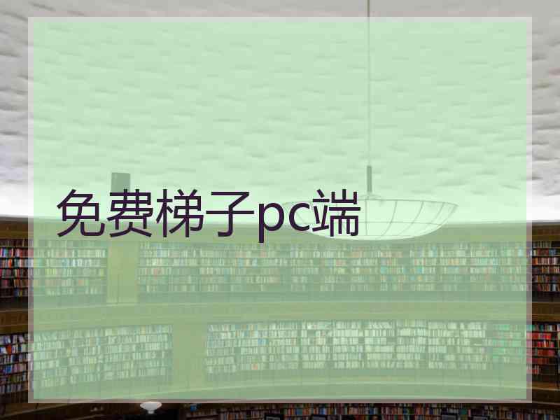 免费梯子pc端