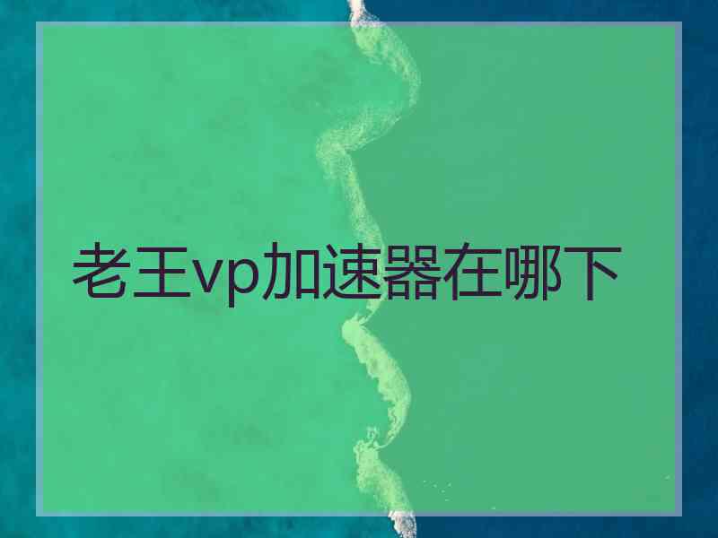 老王vp加速器在哪下