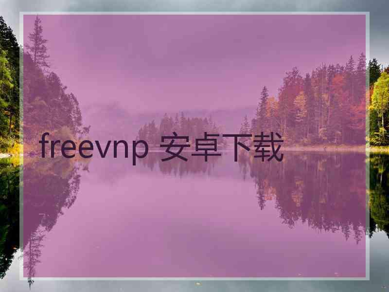 freevnp 安卓下载