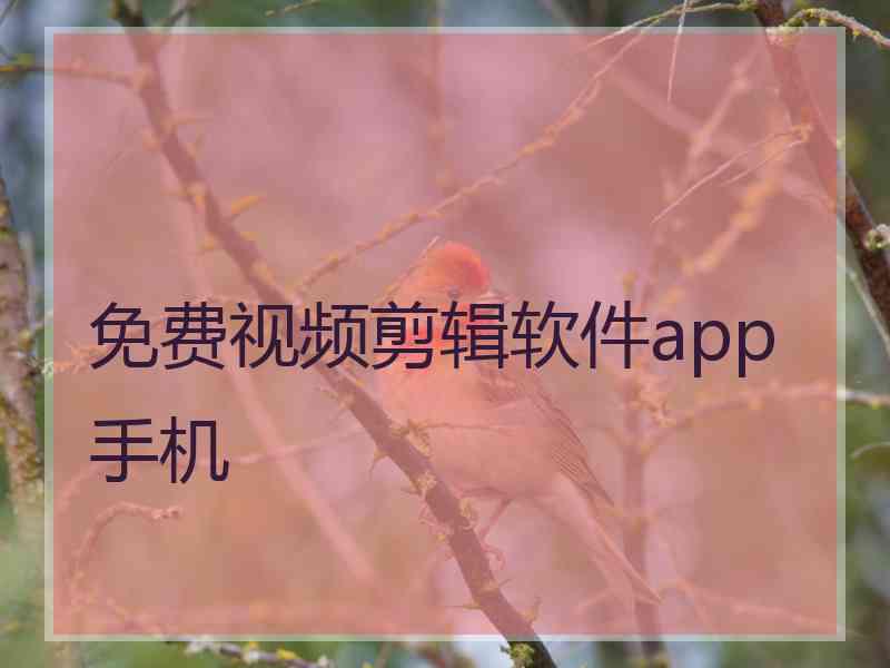 免费视频剪辑软件app手机