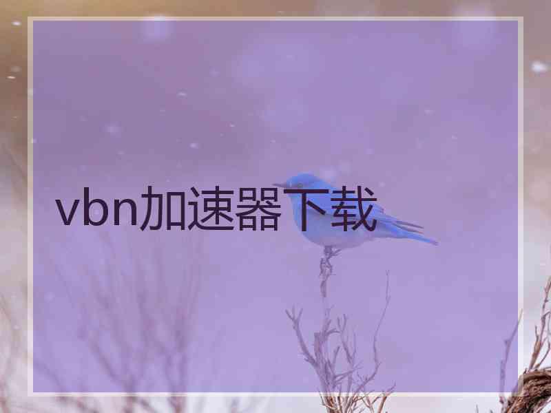 vbn加速器下载