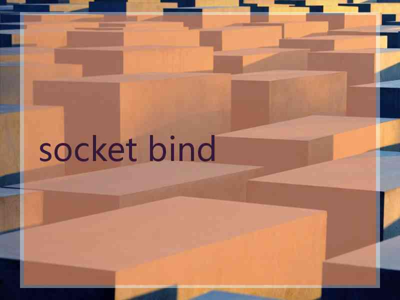 socket bind