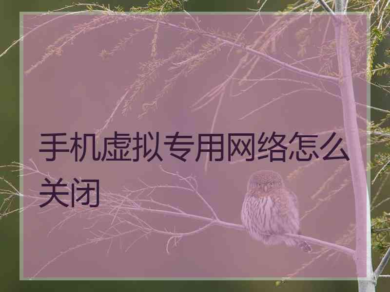 手机虚拟专用网络怎么关闭