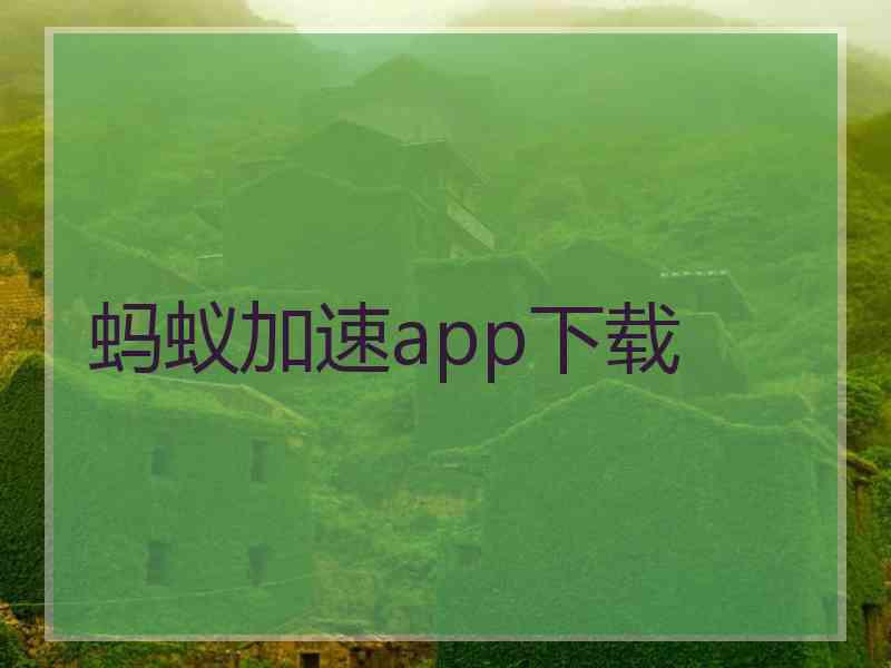 蚂蚁加速app下载