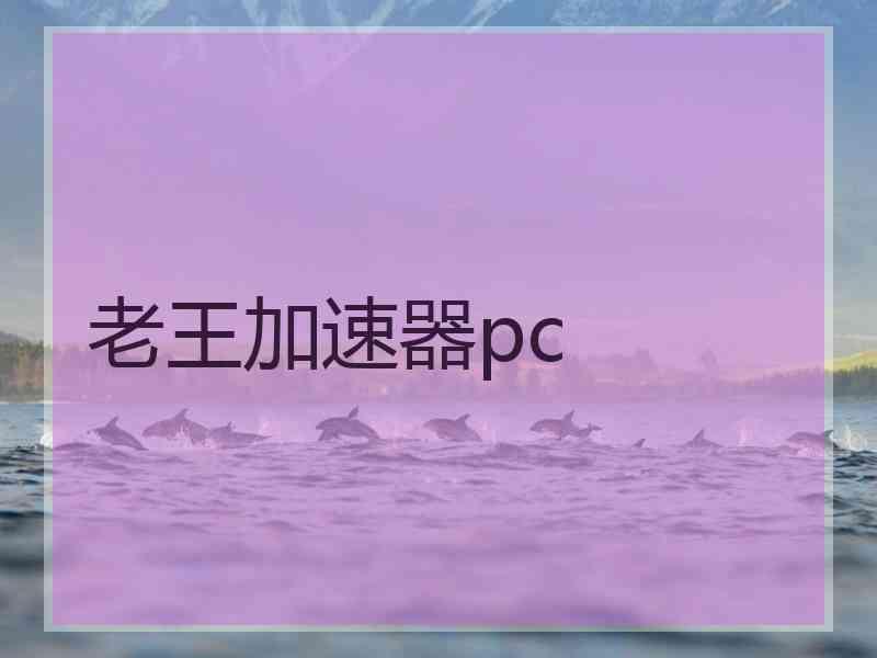 老王加速器pc