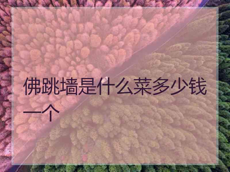 佛跳墙是什么菜多少钱一个