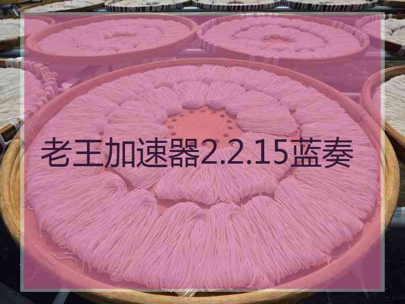 老王加速器2.2.15蓝奏