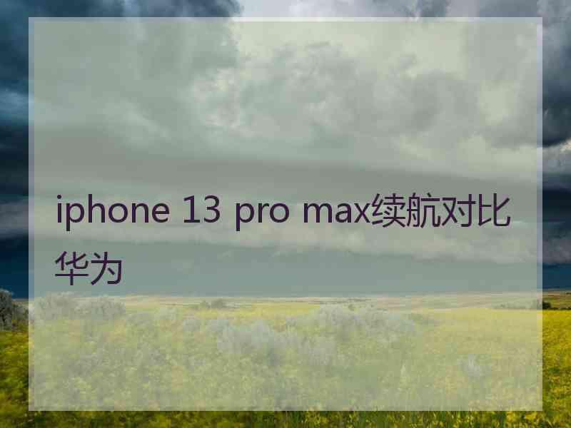 iphone 13 pro max续航对比华为