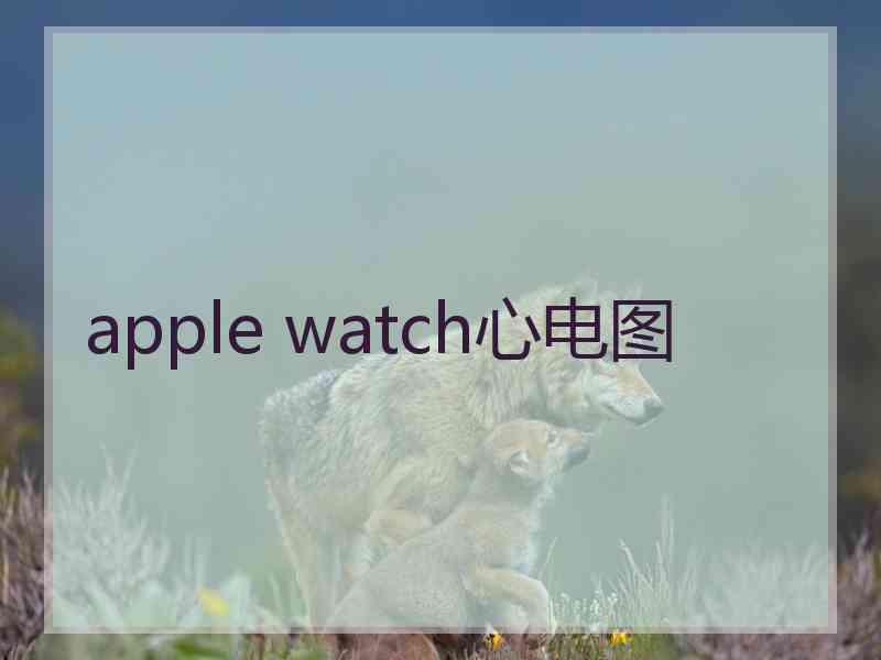 apple watch心电图