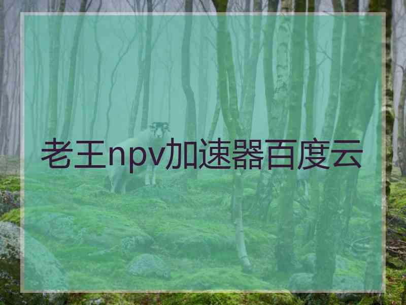 老王npv加速器百度云