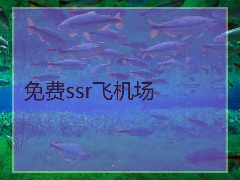 免费ssr飞机场