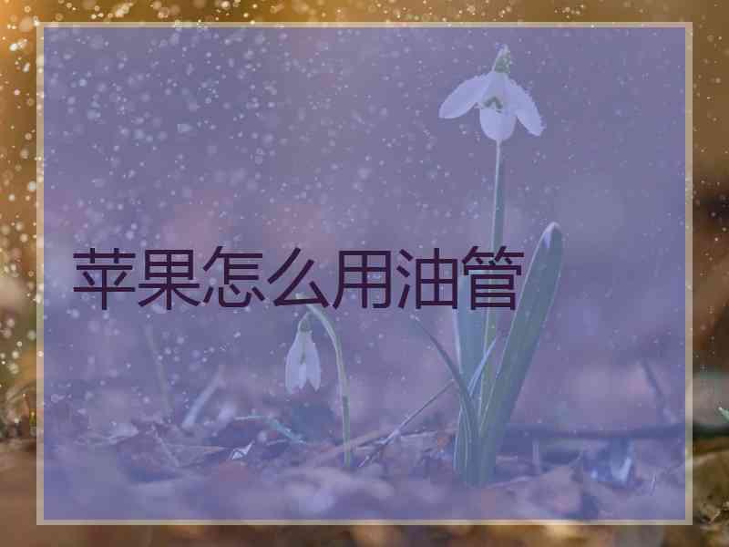 苹果怎么用油管