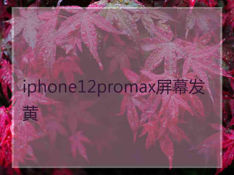 iphone12promax屏幕发黄