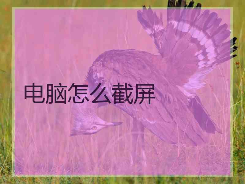 电脑怎么截屏