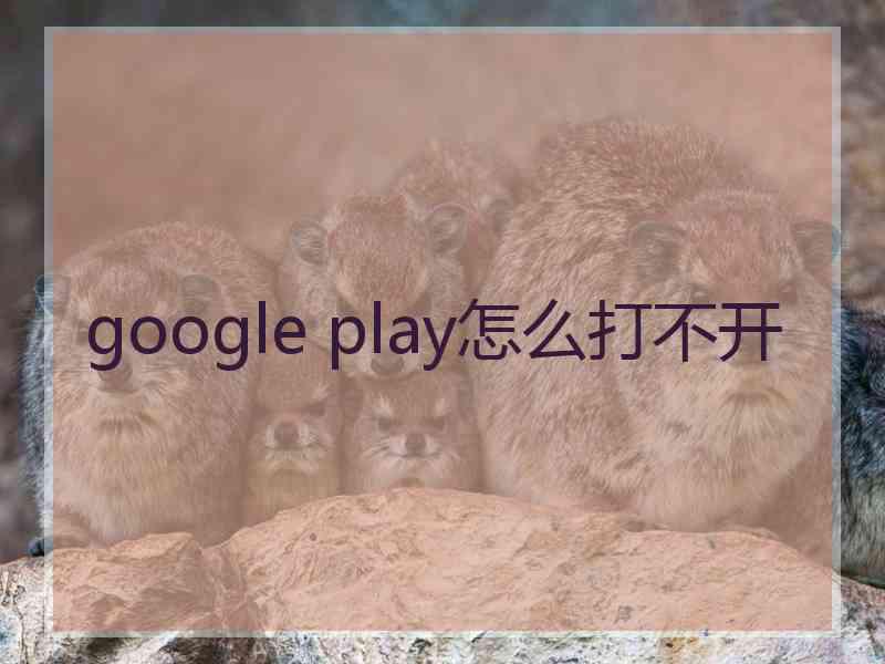 google play怎么打不开