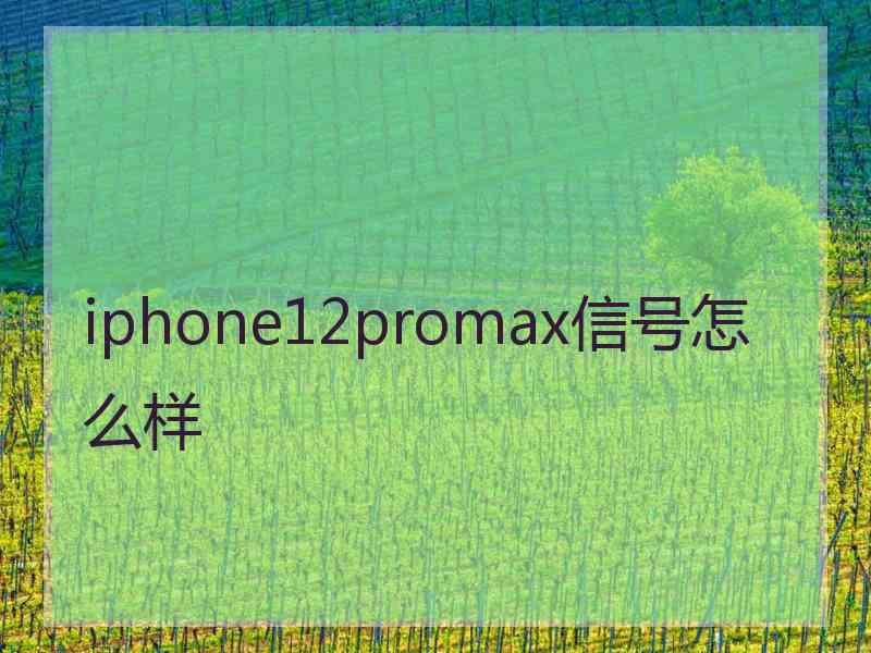 iphone12promax信号怎么样