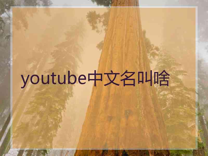 youtube中文名叫啥