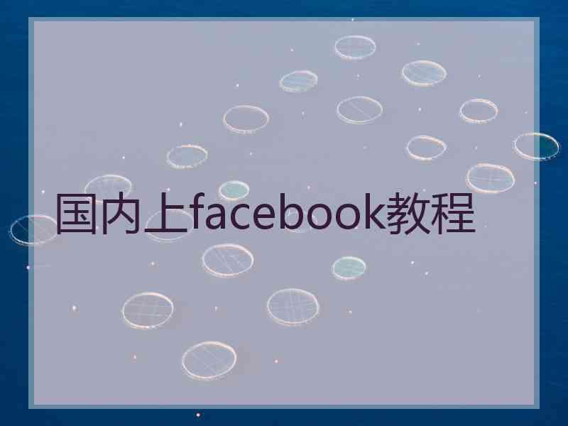 国内上facebook教程