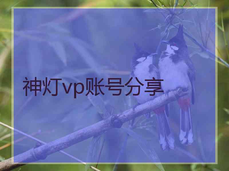 神灯vp账号分享